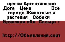 щенки Аргентинскоо Дога › Цена ­ 25 000 - Все города Животные и растения » Собаки   . Брянская обл.,Сельцо г.